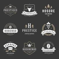 Vintage Logos Design Templates Set. vector