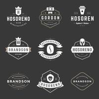 Vintage Logos Design Templates Set. design elements, Logo Elements vector