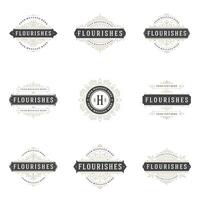 Retro Vintage Insignias or Logotypes set design elements vector