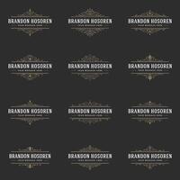 Retro Vintage Insignias or Logotypes set design elements vector
