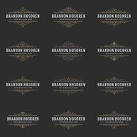 Retro Vintage Insignias or Logotypes set design elements vector