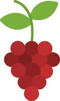 Grapes Flat Icon vector