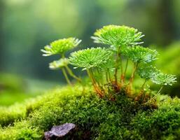 vibrante verde musgo en naturaleza foto