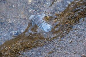 Plastic bottle floating in the lake photo