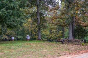 Beehives and farm equipment photo