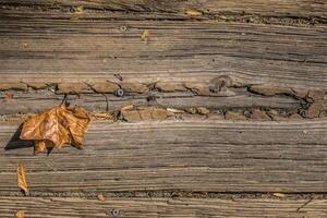 Rustic wood planking closeup photo