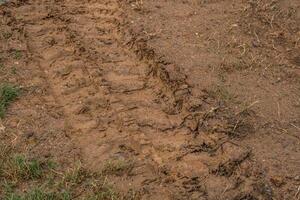 Bulldozer tracks in the mud photo