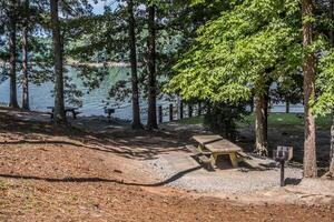 picnic zona por el lago foto