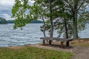 Bench by the lake photo