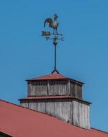 Weather vane on a cupola photo