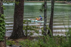 Girl and a dog on a paddle board photo