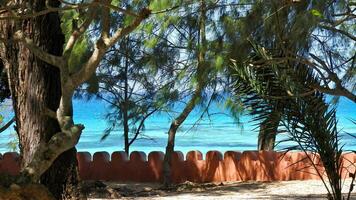 Waterfront promenade. Clear turquoise water in the Indian Ocean visible between trees on the coastline photo