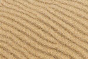 Sands of Serenity Embracing the Beauty of Natural Motif Sands, A Tranquil Tapestry of Earth's Patterns photo