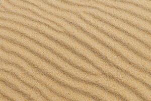 Sands of Serenity Embracing the Beauty of Natural Motif Sands, A Tranquil Tapestry of Earth's Patterns photo