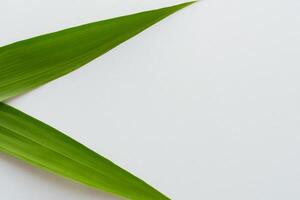 pandan hoja descansa en blanco papel, un mezcla de de la naturaleza frescura en un limpiar lona foto