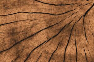 abrazando el belleza de natural madera fondo, un rústico lona de orgánico calor y textura foto