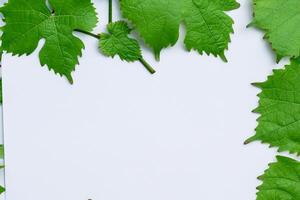 Leafy Elegance Grape Leaves Adorn White Paper Mockup, A Delicate Fusion of Nature's Charm on Display photo