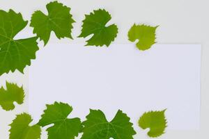 Leafy Elegance Grape Leaves Adorn White Paper Mockup, A Delicate Fusion of Nature's Charm on Display photo