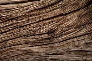 abrazando el belleza de natural madera fondo, un rústico lona de orgánico calor y textura foto