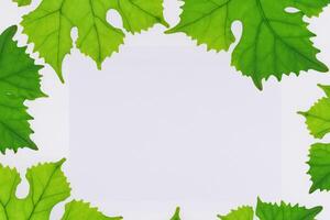 Leafy Elegance Grape Leaves Adorn White Paper Mockup, A Delicate Fusion of Nature's Charm on Display photo