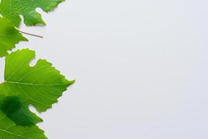 Leafy Elegance Grape Leaves Adorn White Paper Mockup, A Delicate Fusion of Nature's Charm on Display photo