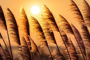 Junco flores disfrutar en el radiante resplandor de el noche sol, creando un espectacular tapiz de de la naturaleza efímero belleza en el tranquilo crepúsculo cielo foto