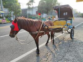 un vagón tiene preparado a tomar turistas alrededor el ciudad a un coche gratis día evento en Surakarta, Indonesia foto