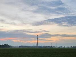 Sunrise on the rice field area photo
