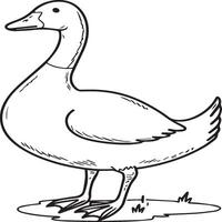 Goose coloring pages. Bird outline for coloring book vector