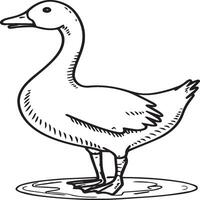 Goose coloring pages. Bird outline for coloring book vector