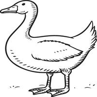 Goose coloring pages. Bird outline for coloring book vector