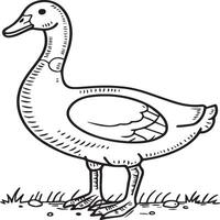 Goose coloring pages. Bird outline for coloring book vector