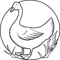 Goose coloring pages. Bird outline for coloring book vector