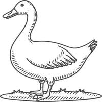 Goose coloring pages. Bird outline for coloring book vector