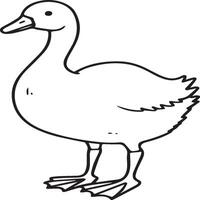 Goose coloring pages. Bird outline for coloring book vector