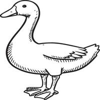 Goose coloring pages. Bird outline for coloring book vector