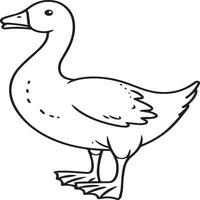 Goose coloring pages. Bird outline for coloring book vector