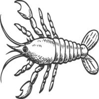 Lobster fish coloring pages for coloring book vector