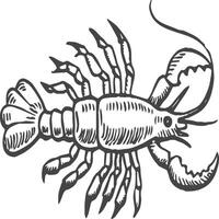 Lobster fish coloring pages for coloring book vector