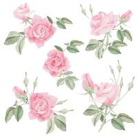 watercolor pink rose flower bouquet wreath frame collection vector