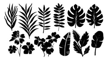 Set of black silhouettes of leaves and flowers vector