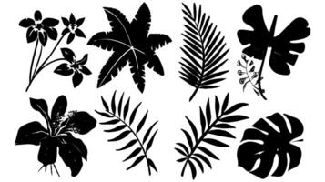 Set of black silhouettes of leaves and flowers vector