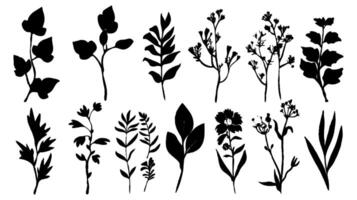 Set of black silhouettes of leaves and flowers vector