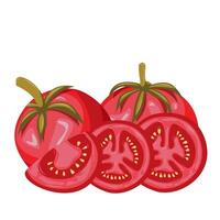 Fresh red tomatoes and slice tomatoes.Organic food. Applicable for ketchup, juice advertising. Can be used for menu, packaging, textiles. illustration vector