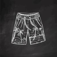 Hand-drawn sketch of beach shorts. Summer accessory isolated on chalkboard background. Vintage illustration in engraving style. vector
