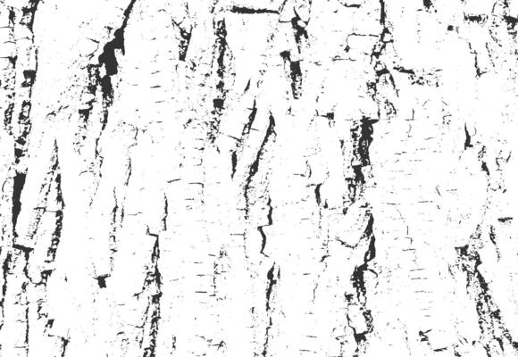 wooden grunge texture overlay background