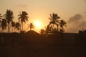 puesta de sol a el playa de grandioso popó, benín,, palmeras foto