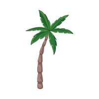 Illustration of palm tree vector