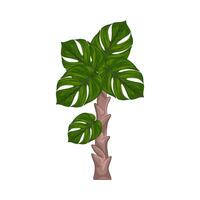 Illustration of palm tree vector