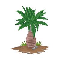 Illustration of palm tree vector